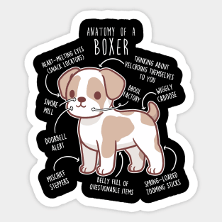 Boxer Dog Parti Color Anatomy Sticker